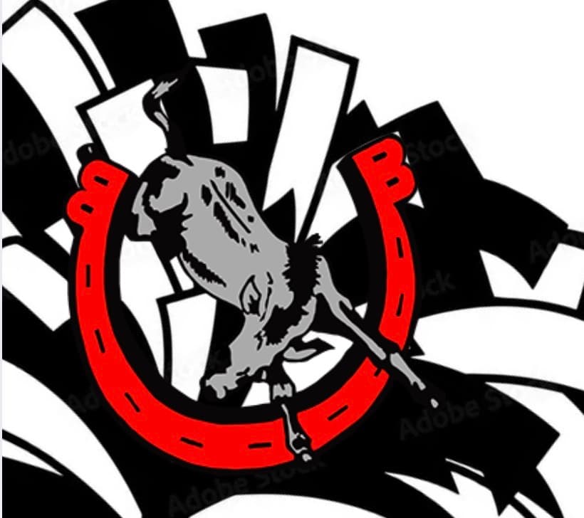 Bedford Cheer Boosters Fundraiser